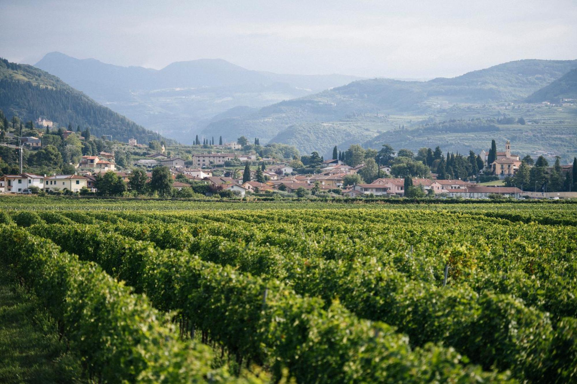 Séjour à la ferme Dimora Buglioni Wine Relais San Pietro in Cariano