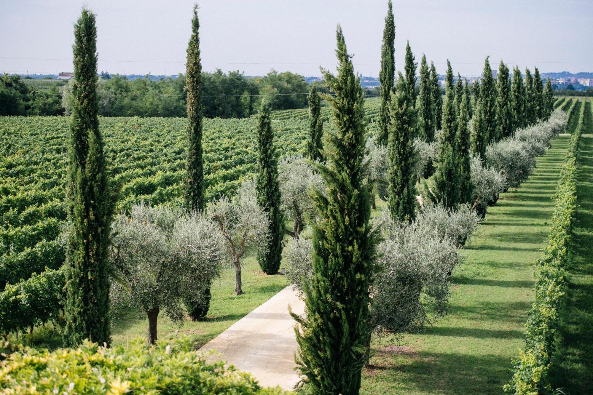 Dimora Buglioni Wine Relais San Pietro in Cariano