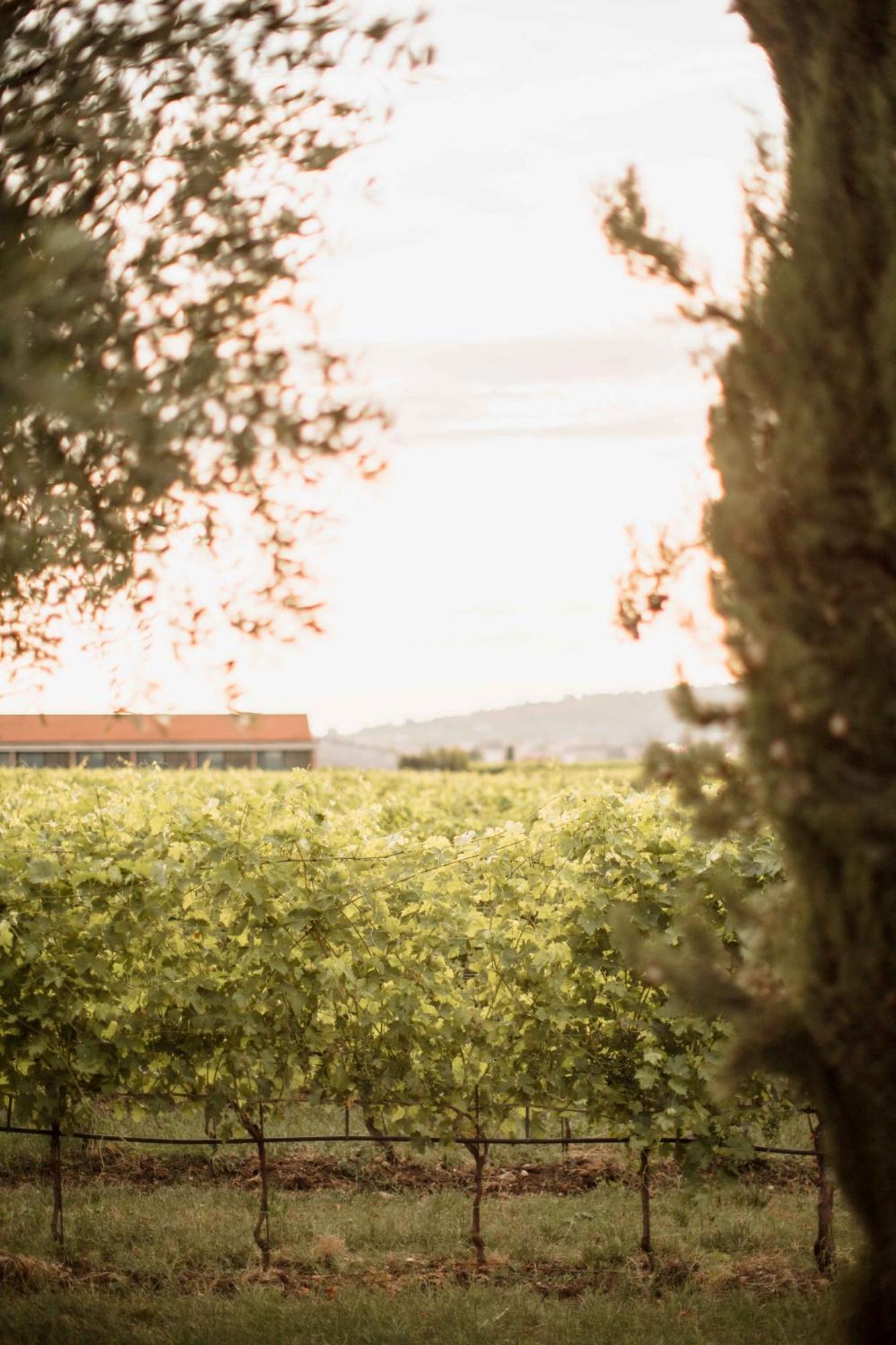 Dimora Buglioni Wine Relais Séjour à la ferme San Pietro in Cariano