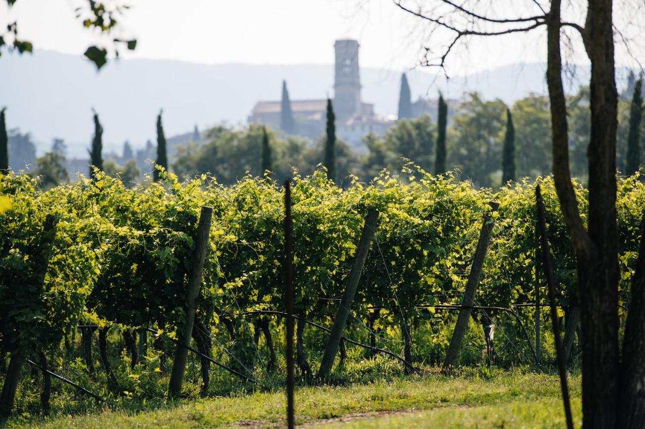 Dimora Buglioni Wine Relais San Pietro in Cariano